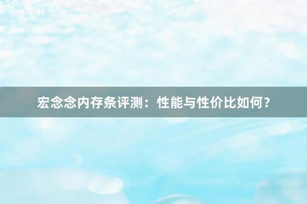 宏念念内存条评测：性能与性价比如何？